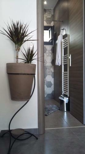 Savvas & Katerinas Appartments