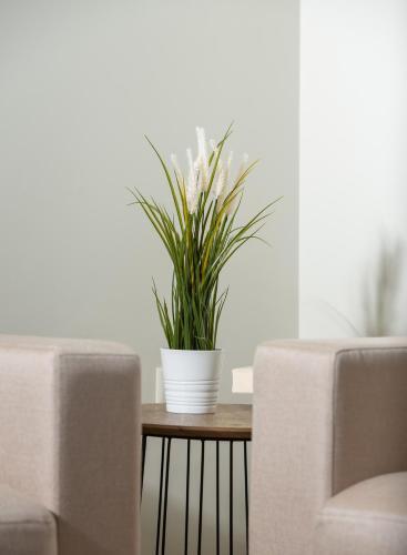 Olenia Luxury Apartments 4