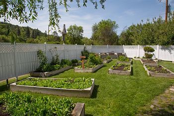 Hotel Lithia Springs Resort