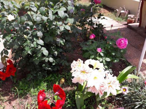 Apartamento ?he Roses House