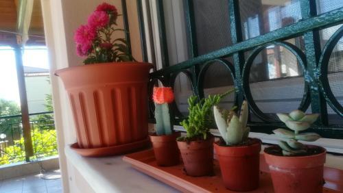 Apartamento Paressa's House