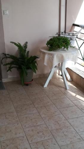 Apartamento Paressa's House