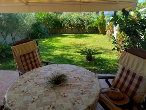 Palm Garden Apartment