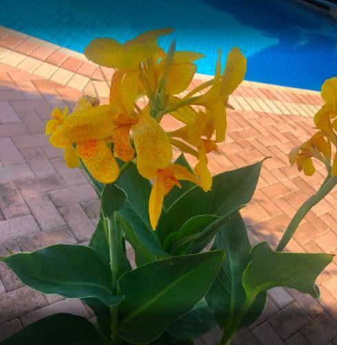 Lili Apartments,oasis 2,5 Km From Hania Center