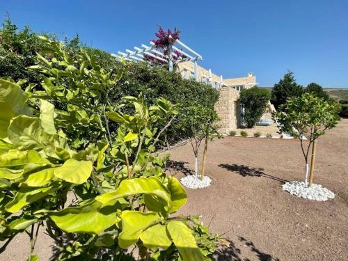 Patmosphere Luxury Escape Adults-only