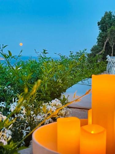 Patmosphere Luxury Escape Adults-only