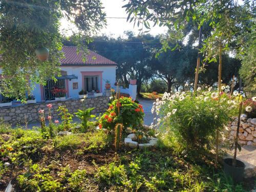 Mantzaros Country House