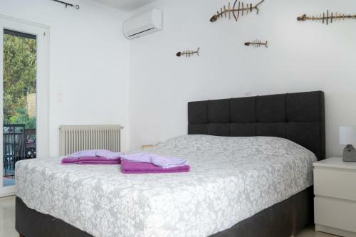 Coralli Pentati 1 "dimitris Apartments"
