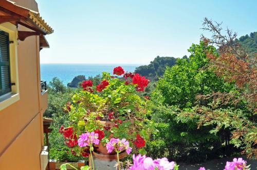 Apartments Papadatos - Pelekas Beach, Corfu