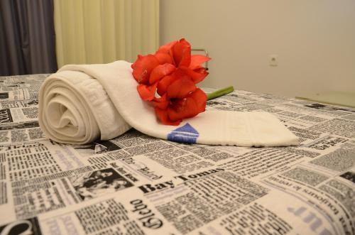 Hotel Marie Palace