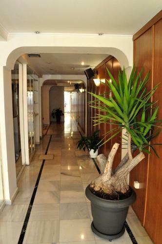 Hotel Acropole