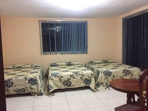 Hotel Lienzo Charro 1