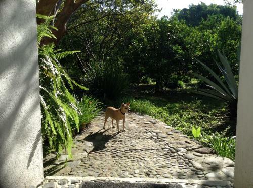 Los Naranjos Hotel Boutique