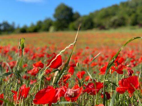 Bed & Breakfast La Vieille Auberge