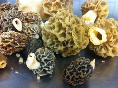 Bed & Breakfast La Vieille Auberge