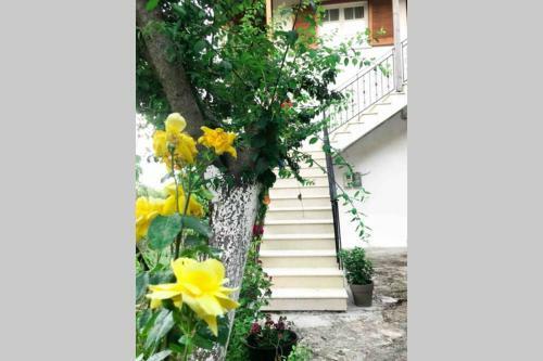 Apartamento Aggeliki's House