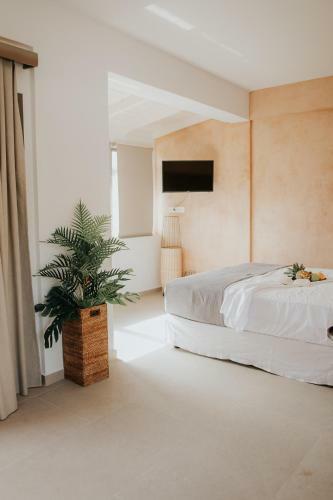Apartamento Elia Boutique Hotel
