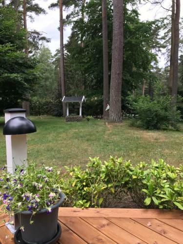 Nordic Relax House - Woodhouse