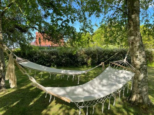 Albergue Hemmet Simrishamns Vandrarhem Och B&B