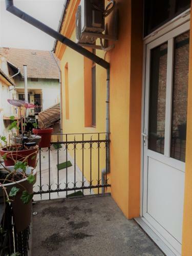 Newly Refurbished Apartment With Patio