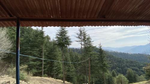 Nishal Homestay