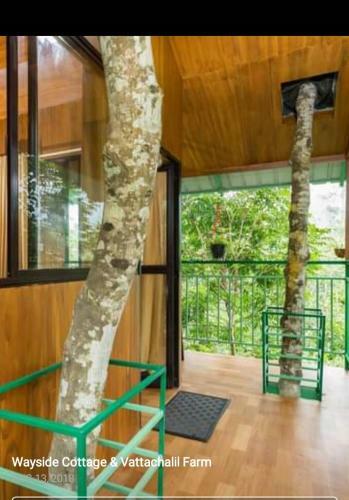 Agroturismo 1 Bhr Treehouse