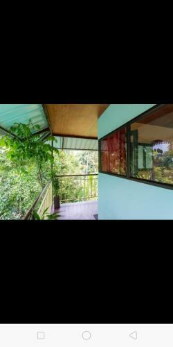 Agroturismo 1 Bhr Treehouse