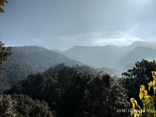 Lodge Jfr Pangot Nainital