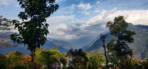 Teesta Tendong Homestay