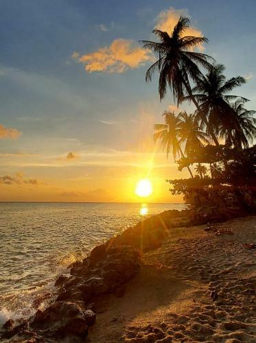 Hostal Islandlife Bungalows