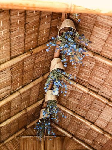 Hotel Mangata Boutique Bungalows