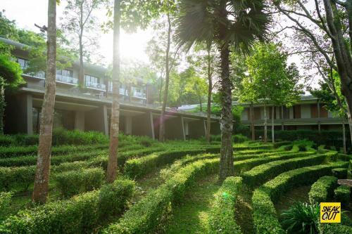 Hotel My Sweet Home@chiangmai