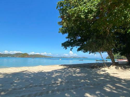 Hotel Cruiser Island Resort