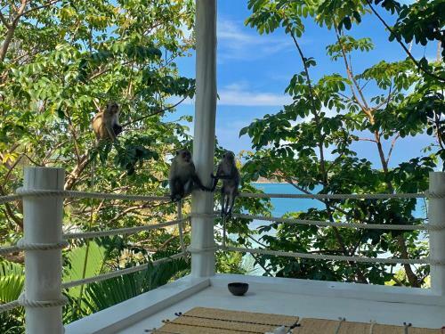 Agroturismo Coconut Beach Bungalows