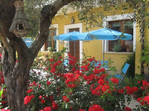 B&B Mariposa