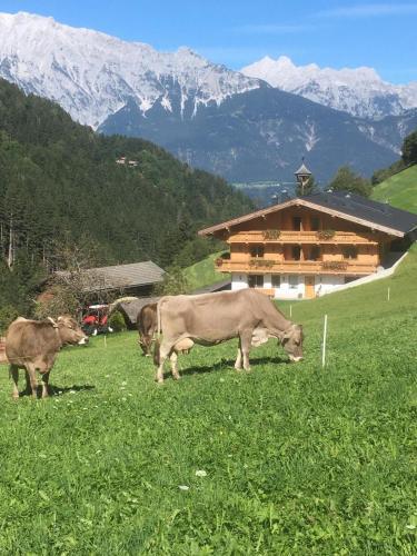 Apartamento Alpen-appartement Auerhof