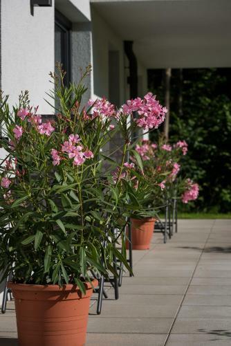 Apartamento Ferienwohnung Unterlechner