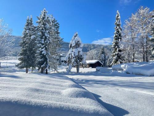 Apartamento Vl-wohnen Alpin Estate