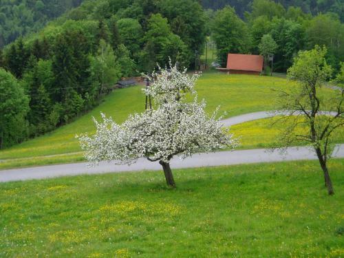 Apartamento Biohof Himbrechts�d