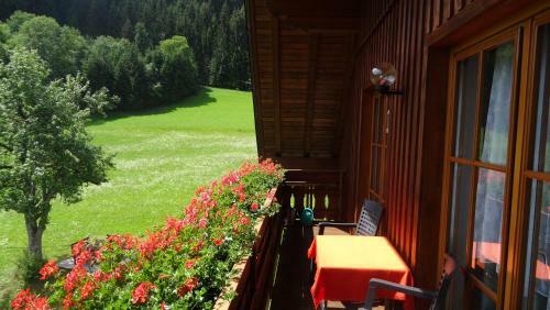 Apartamento Ferienhaus Enzi