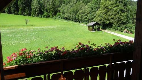 Apartamento Ferienhaus Enzi