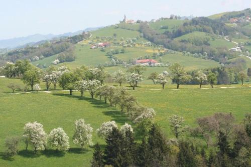 Agroturismo Dorferhof