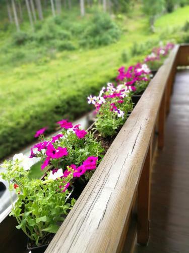 Apartamento Tiroler Hasenh�hle