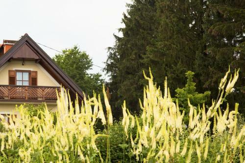 Apartamento Schlossferienhaus