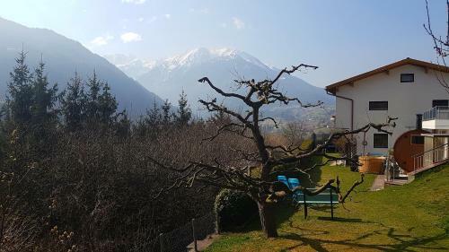 Apartamento Haus Alpenhahn