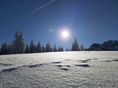 Apartamento Appartement Vierthaler
