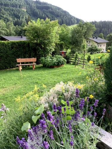 Apartamento Appartement Vierthaler