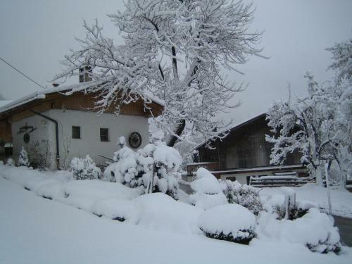 Apartamento Haus Kammerland