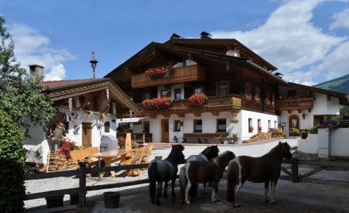 Apartamento Haus Kammerland