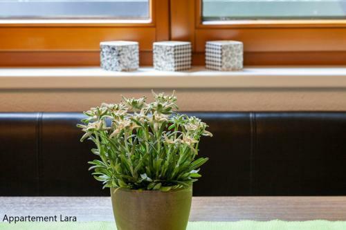 Apartamento Appartement Lara & Lea